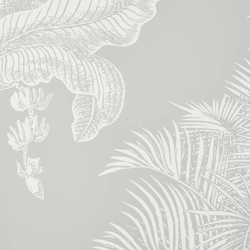 Papier peint Grand Palms, Colombe