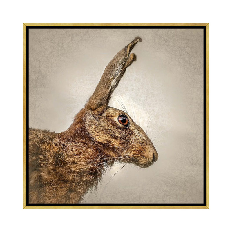 « Hare » par Mark Gemmell-impression d’art graphique, Toile encadrée d'or, Pas de tapis, H 37 po x l 37 po x P 1,5 po