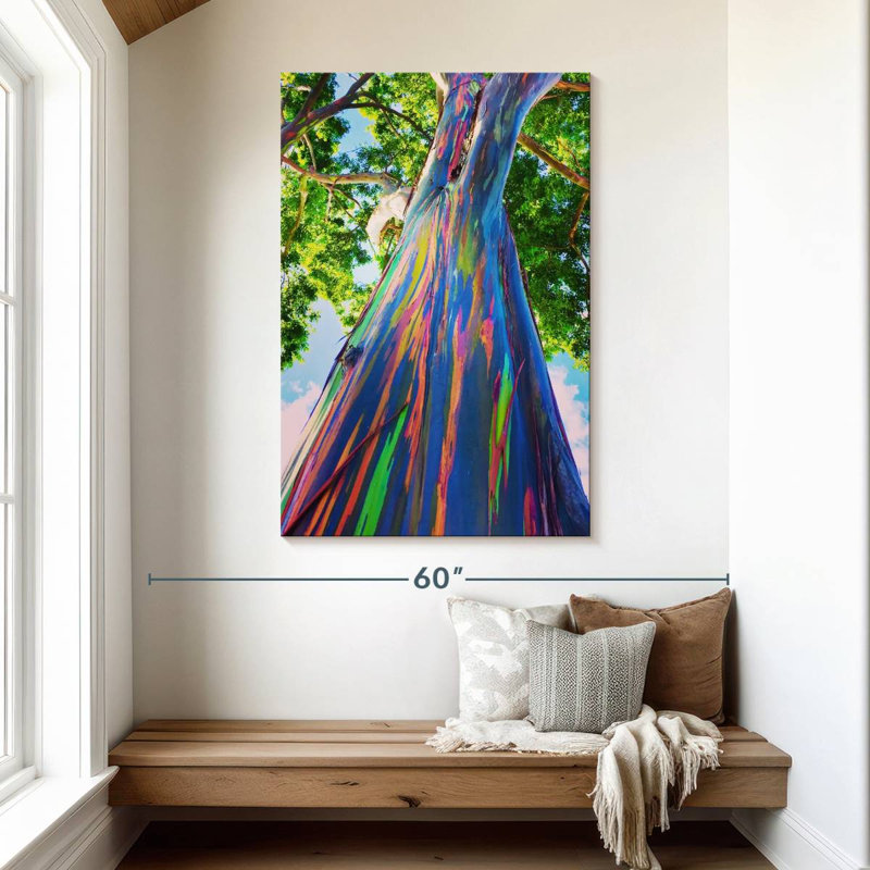 Eucalyptus hawaïen Harnek, H 48 po x l 32 po