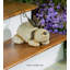 Statue pour chien Doziers