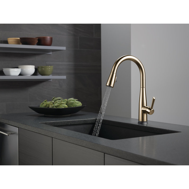Robinet de cuisine rétractable à poignée simple Essa avec support MagnaTite et technologie Touch2O, Bronze champagne