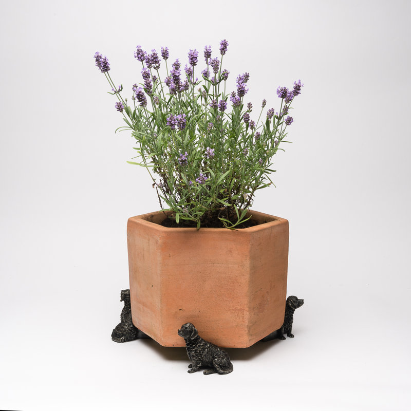 Sydni Weather Resistant Planter Feet