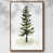 Walnut Floater Framed is out of stock