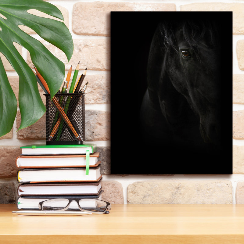 «Black Pearl» par Photoinc Studio, art mural sur toile, 26 po x 34 po, H 16 po x l 12 po x P 0,75 po