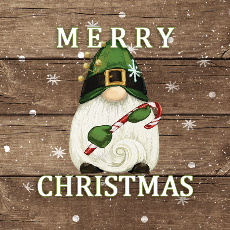 Christmas Green Gnome - Wrapped Canvas Print, 91cm H x 91cm W