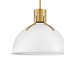 Luminaire suspendu en dôme à 1 lumière Clendon-74008654-74008651-74008649