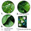 «Green Realistic Charm - Violets», art mural sur toile-97039389-97039393