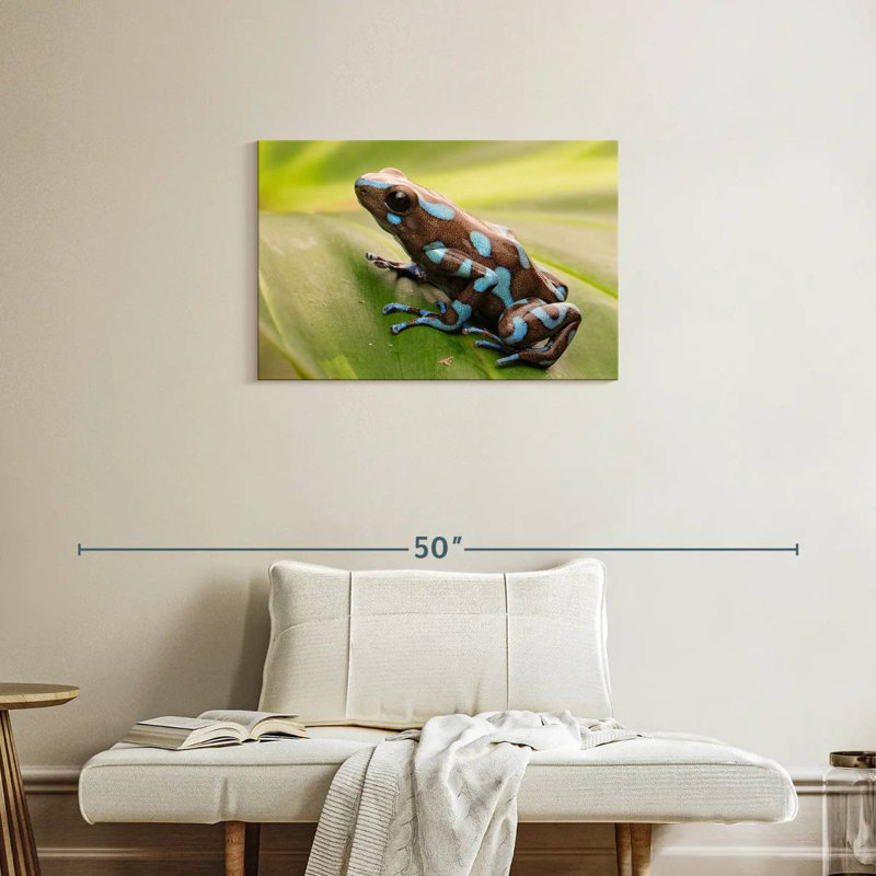 Brampt Exotic Dart Frog, 20" H x 30" W