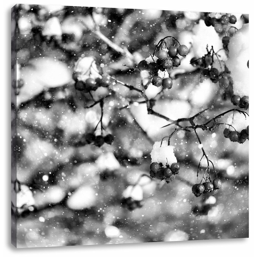 Leinwandbild Vogelbeeren mit Schnee bedeckt