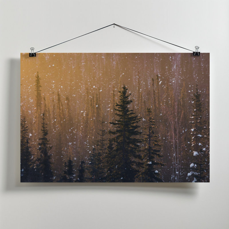 Wrapped Canvas Print, 81.28cm H x 121.92cm W