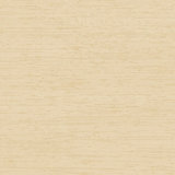 Palazzo Plain Silk Texture Wallpaper Roll