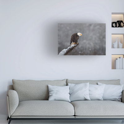 Œuvre sur toile «Bachelor»