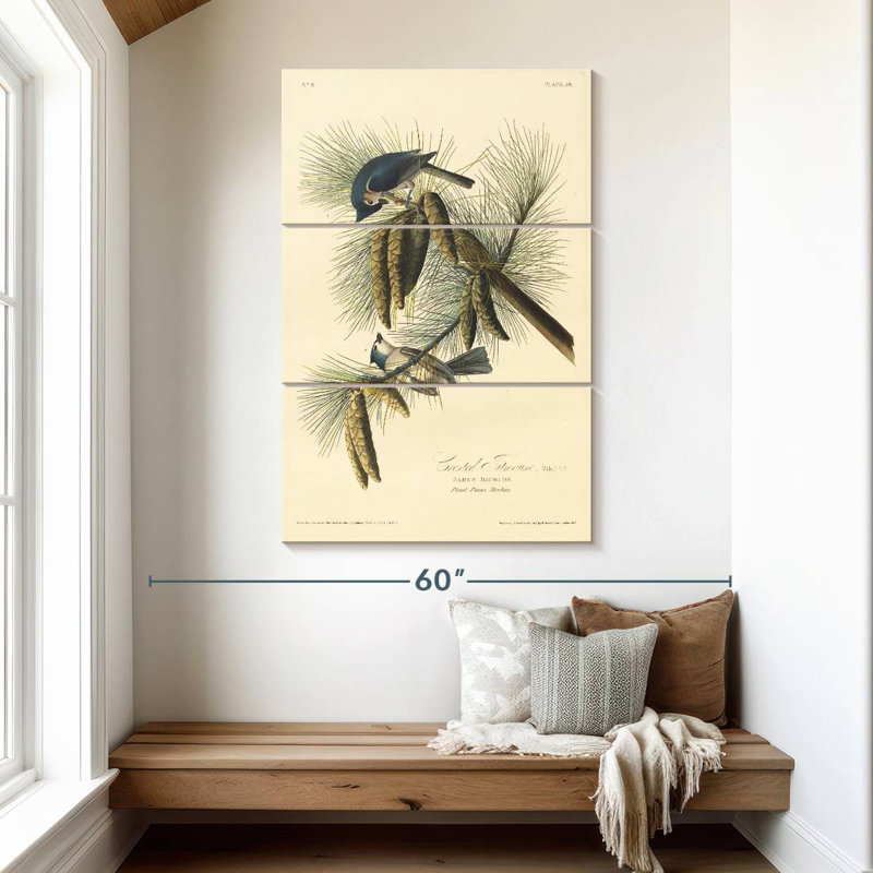 Brampt Crested Titmouse, 50" H x 32" W