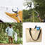 Carrena Push Brooms-1275799358