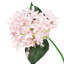 Étoile, hortensia et fleurs-1683066117