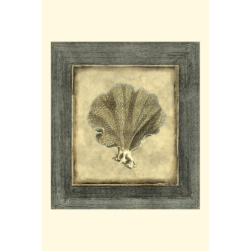 Mini Exotic Coral VI (U) - Wrapped Canvas Print, 30cm H x 20cm W x 3.8cm D
