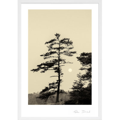 Garden Sign "Serenity" Print by Peter Dušek