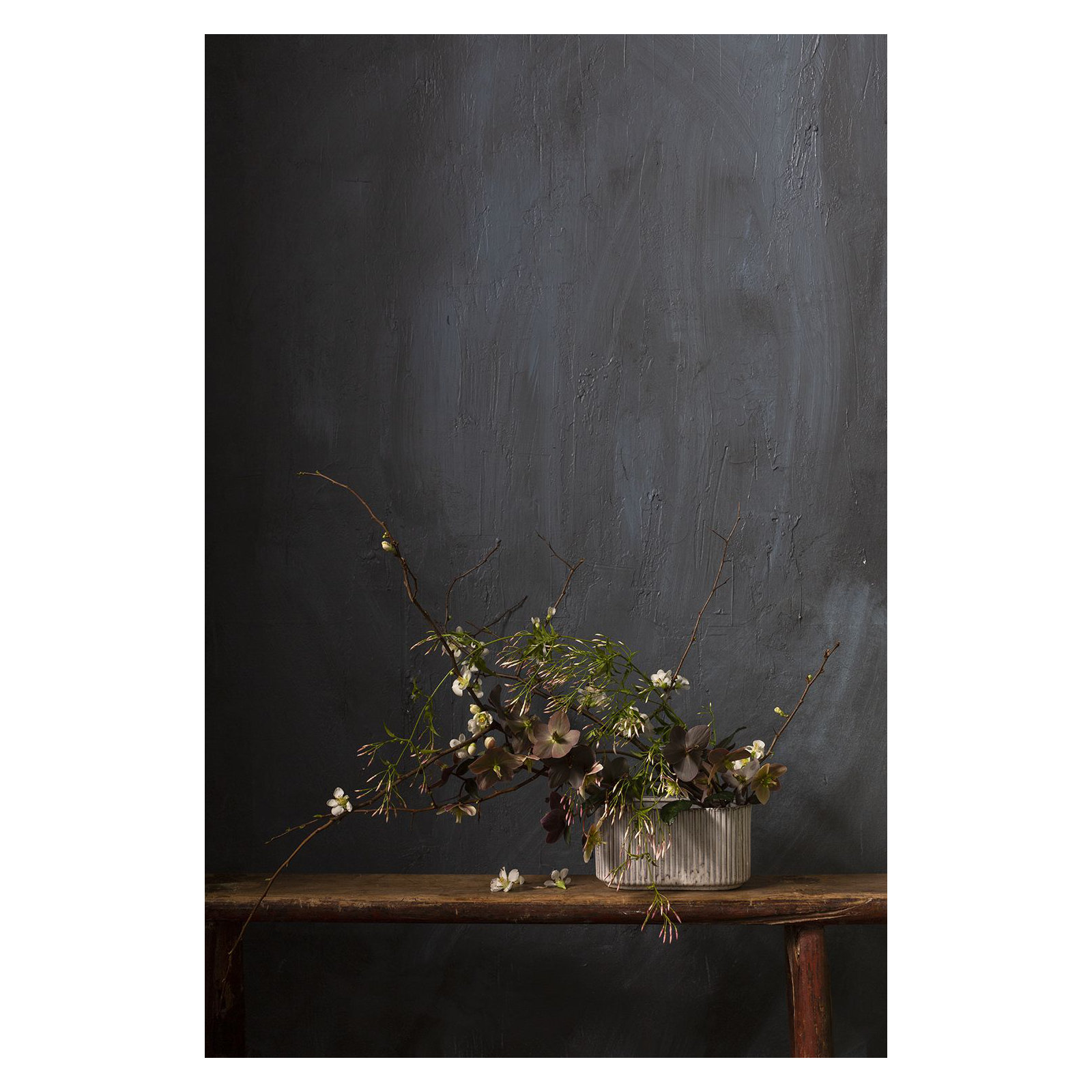 Williar Ceramic Pot Planter, 4" H x 8" W x 4" D