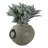 Pottery And Ecomix Vase With Handles Boho Style Decorative Modern Accent Vessel For Versatile Display-1353559569