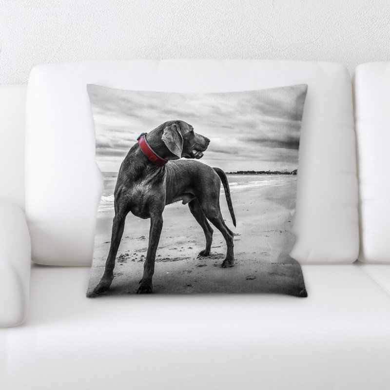 Housse et insert de coussin Weimaraner