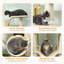 202cm H Cat Tree