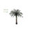 Cycas Artificial Tree