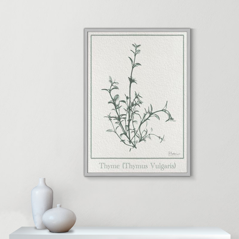 «Jeanette Thymus Vulgaris», reproduction d'art encadrée sur papier par Albert Koetsier, H 35,5 po x l 25,5 po x P 1,25 po