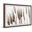Feathered Grass II 1 Piece Single Picture Frame Painting-1921553803