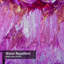Fleurs abstraites, peinture sur toile, papier peint créatif, art moderne avec 12 crochets-1872370971