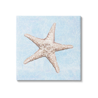 " Detailed Starfish Blue Water Pattern "