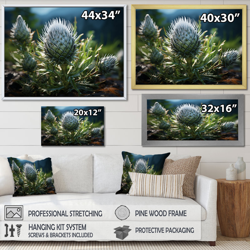 Green Majestic Thistle I - Floral Canvas Art Print, H 34 po x l 44 po x P 1,5 po, Cadre photo noir