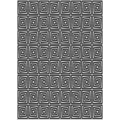 Indoor Rug