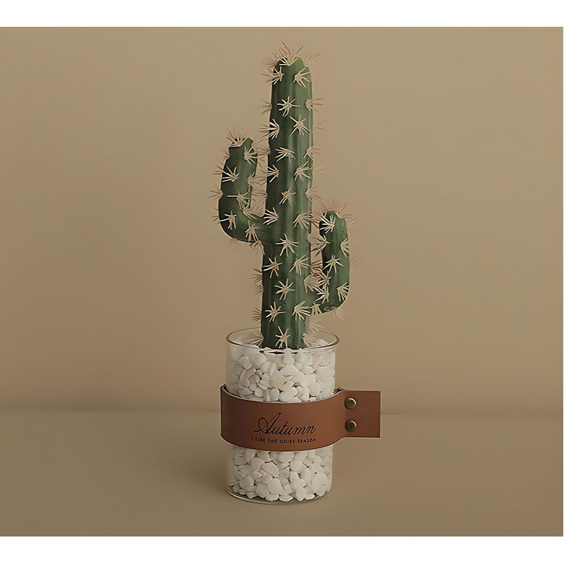 Cactus 9,44 po