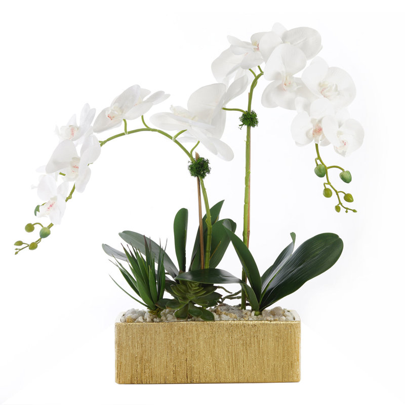 Arrangement floral avec orchidées Phalenophsis