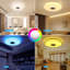 1-Light Flush Mount