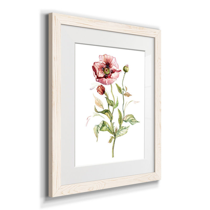 Coquelicot sauvage - reproduction de photo encadrée sur papier, H 20 po x l 17 po x P 1,5 po, Cadre blanc