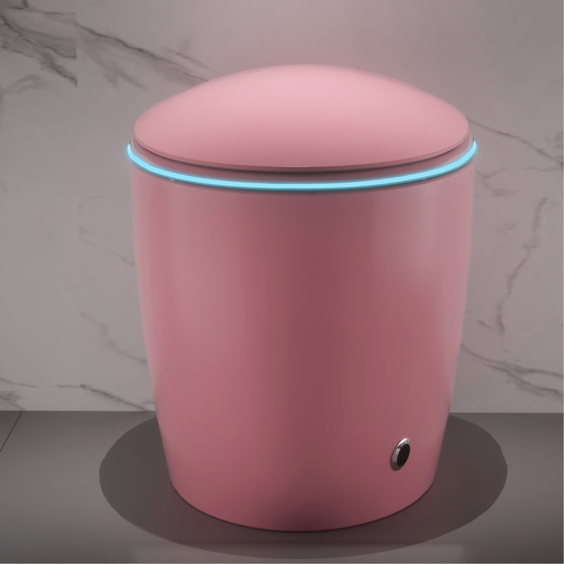 Installation de salle de bain moderne, toilette intelligente, siège à fermeture automatique, capteur de pied, nuit, toilette rose avec bidet, couvercle, lavage des hanches, sécheuse,