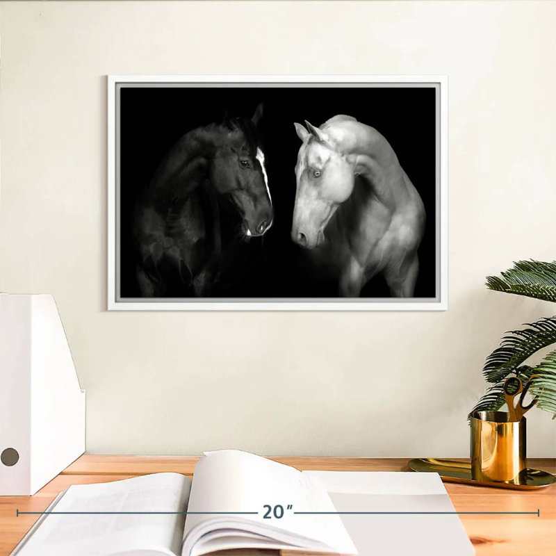 Chevaux monochromes, Cadre flottant blanc, 13 po x 9 po