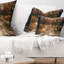 Coussin Forest Road
