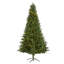 Lighted Artificial Fir Christmas Tree-1008657453