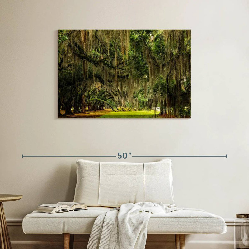 Sireci Spanish Moss, 26" H x 39" W