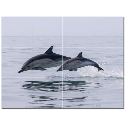 Dauphin photo 8 x 8
