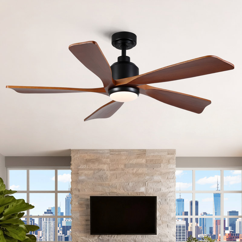 Ventilateur de plafond d'extérieur à 5 pales de 56 pouces avec ensemble d'éclairage, étanche à l'humidité, noir mat