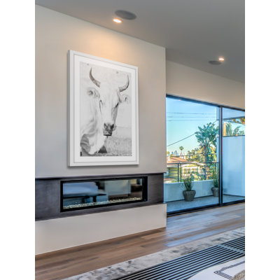 " Cow Face " by Marmont Hill