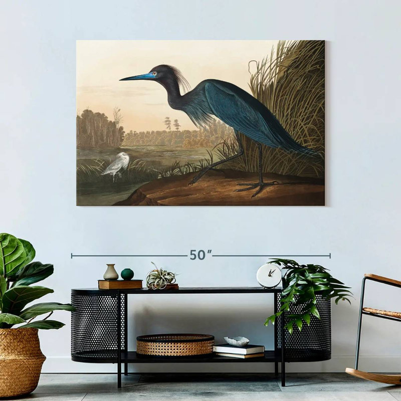 Brampt Blue Crane Or Heron