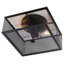 Plafonnier encastré carré en cage 11,9 po 2 lumières Ava