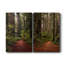 Forest Path I - Toile tendue avec châssis de qualité supérieure - prête à être accrochée-84566160
