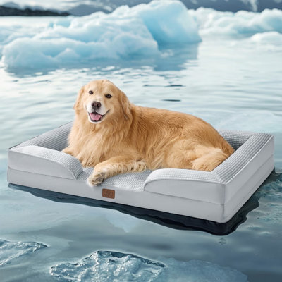Lit orthopédique pour chien, canapé-lit lavable imperméable avec housse amovible, base antidérapante pour chiens de grande et moyenne taille
