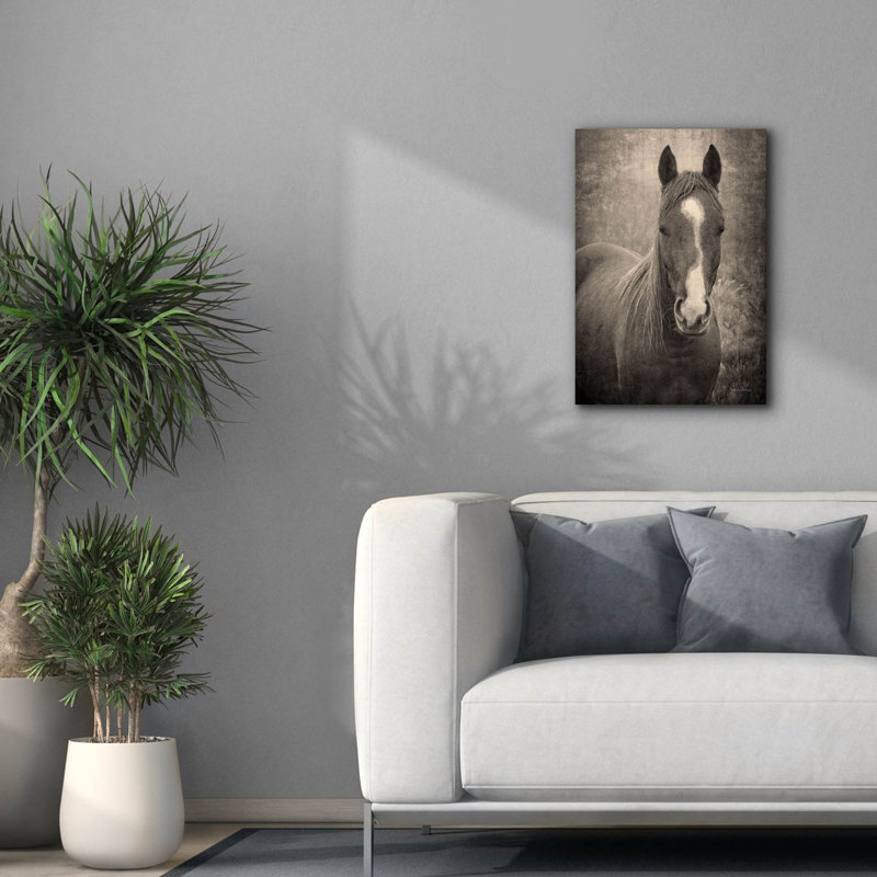  «Heres Looking You II» par Debra Van Swearingen, art mural sur toile, 18 po x 26 po, H 26 po x l 18 po
