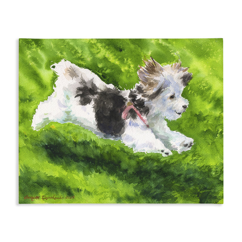 Toile de course Happy Maltipoo, conception de George Dyachenko, H 24 po x l 30 po